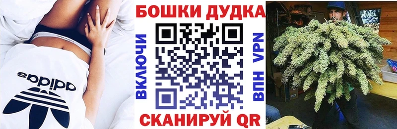 Магазины продажи наркотиков Новосибирск COCAIN  A PVP  kraken ТОР  АМФ  Меф мяу мяу  Конопля  ГАШИШ 
