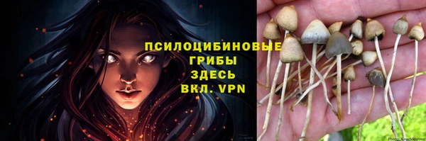 винт Майский