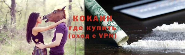 винт Майский