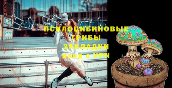 винт Майский