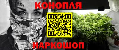 гашик Гусев