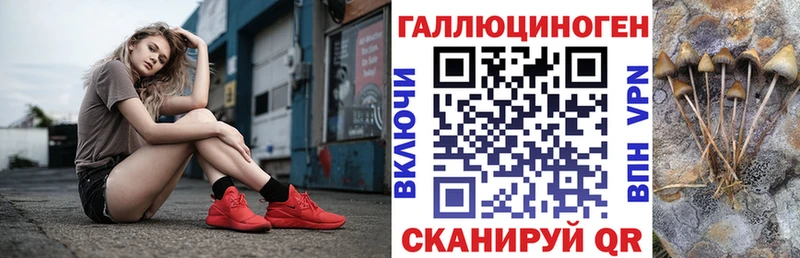 как найти закладки  Новосибирск  KRAKEN ONION  Галлюциногенные грибы мухоморы 