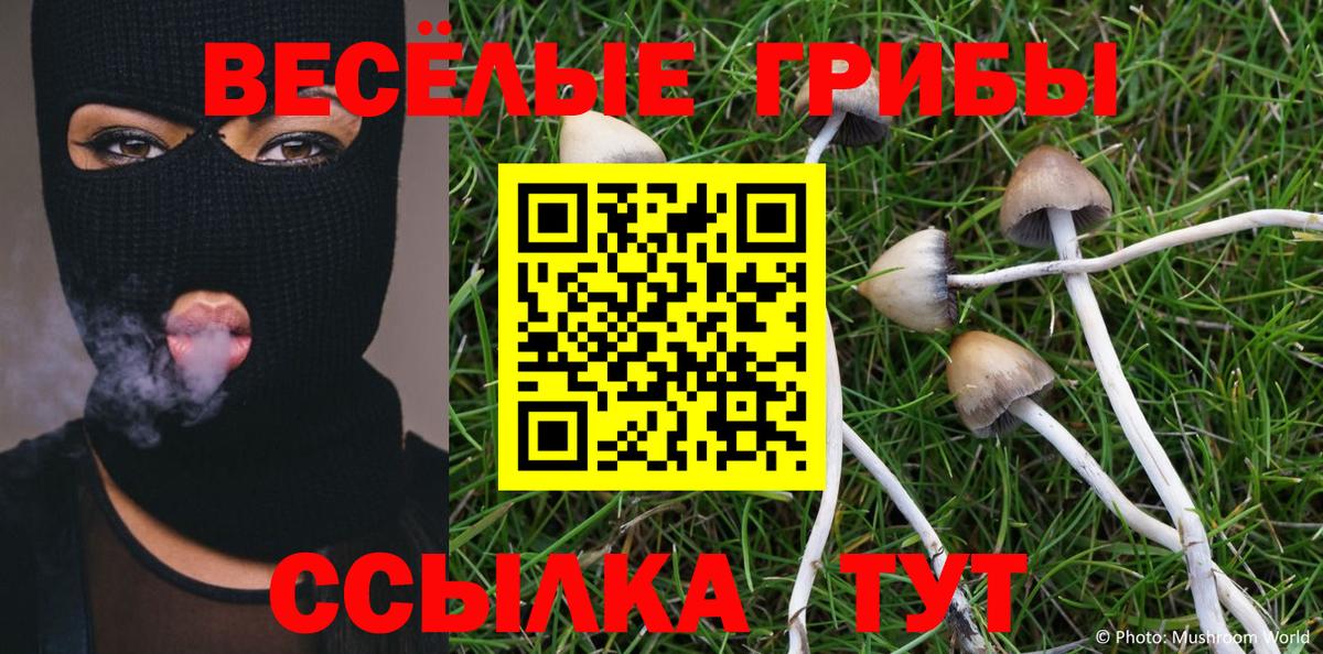 Галлюциногенные грибы Cubensis  Псилоцибиновые грибы Psilocybe  Новосибирск  Вход с VPN 